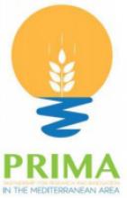 PRIMA 2020 call for projects